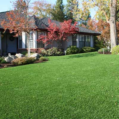 Green artificial grass in a San Jose, CA yard