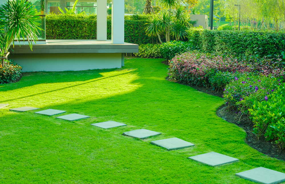 5 Things to Look for When Choosing Artificial Grass SYNLawn Central