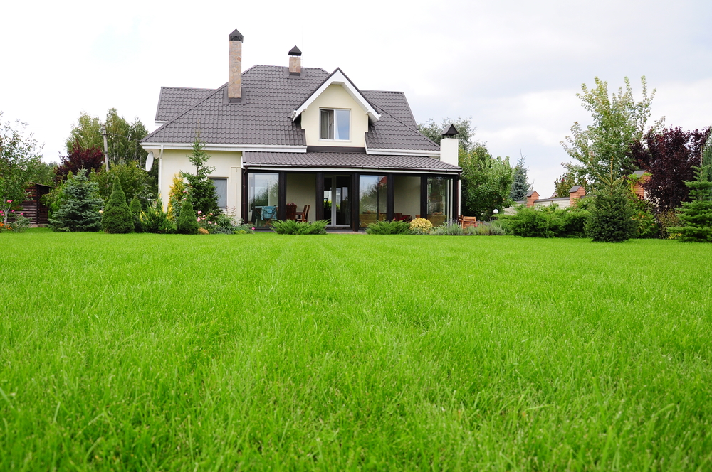Front yard of San Jose home with artificial grass installed