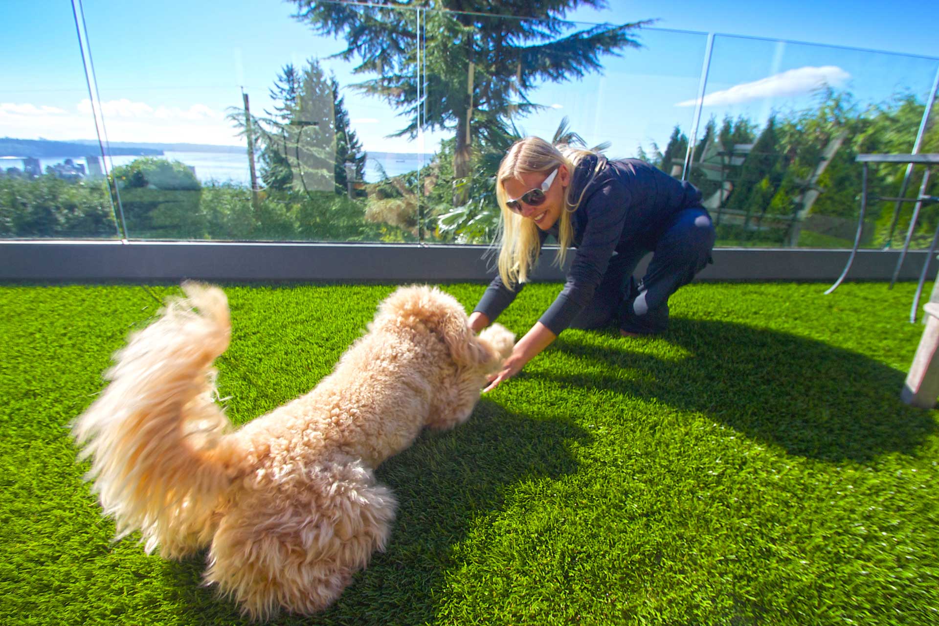 Dog playing with owner on SYNLawn artificial grass