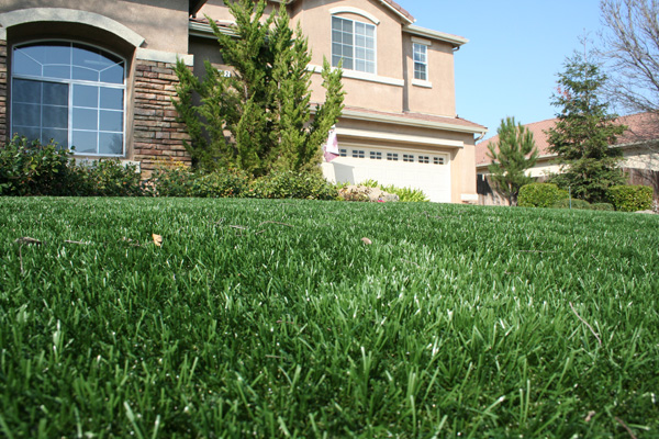 Close up of a synthetic grass lawn in front of a tan house