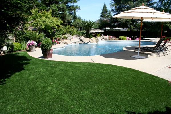 A Fresno backyard uses synthetic turf to keep their pool clean and their yard looking green!