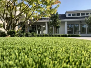 residential artificial grass lawn