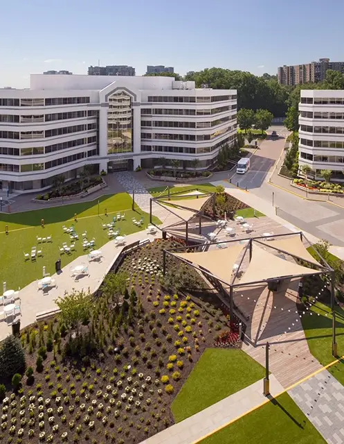 Artificial grass government building installation from SYNLawn