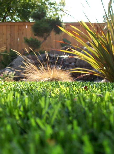 Artificial Lawns