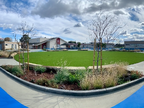 synlawn_newhp_2