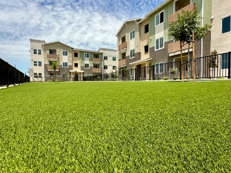 synlawn_newhp_5
