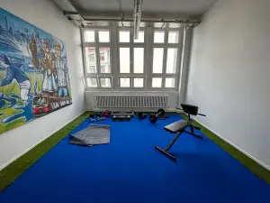 SYNLawn blue artificial grass indoor athletic workout room Berlin Germany 02
