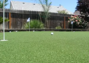 golf putting green