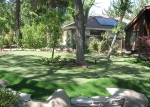 yard putting green