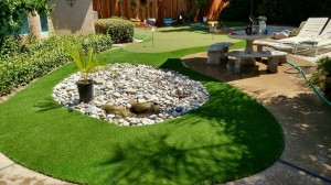 img 20150627 110226641 hdr