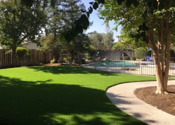 landscape-gal-synlawn-ca-1
