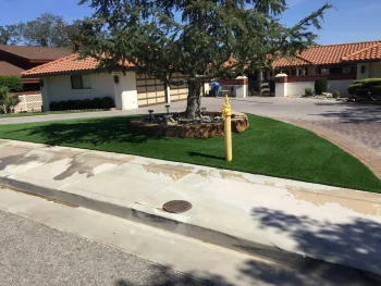 landscape-gal-synlawn-ca-15