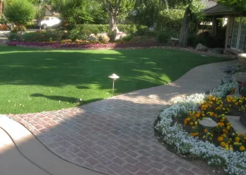 landscape-gal-synlawn-ca-2