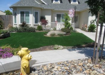 landscape-gal-synlawn-ca-20