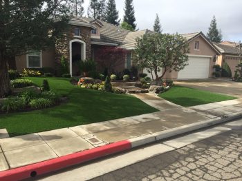 landscape-gal-synlawn-ca-21