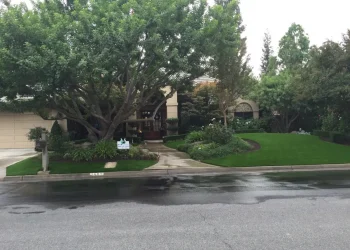 landscape-gal-synlawn-ca-24