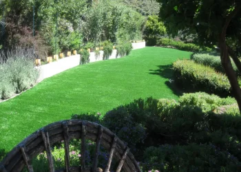 landscape-gal-synlawn-ca-4