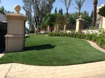 landscape-gal-synlawn-ca-5