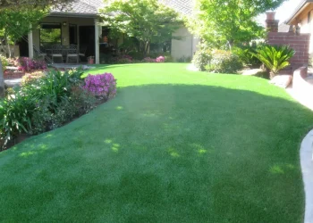 landscape-gal-synlawn-ca-7