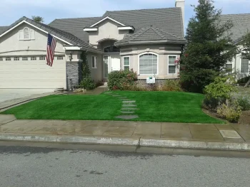 landscape-gal-synlawn-ca-8