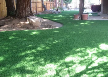 landscape-gal-synlawnca-5