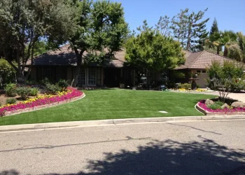 landscape-gal-synlawnca-7