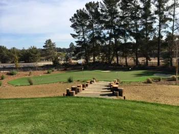 putting-green-gal-synlawnca-4