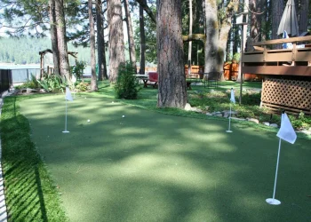 putting-green-synlawn-ca-gal-3