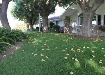 synlawn-ca-landscape-turf-gal-1