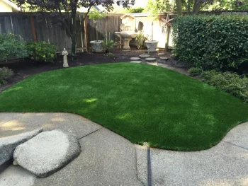 synlawn-ca-landscape-turf-gal-3