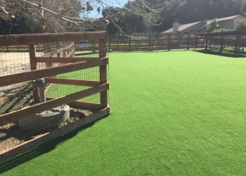 synlawn-ca-pet-turf-gal-1